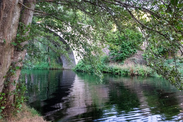 Río que fluye bajo un puente de piedra y entre árboles