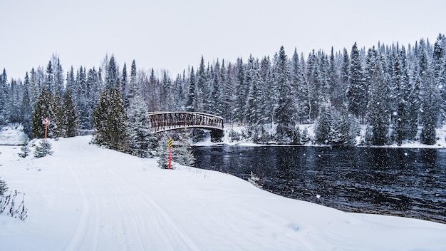 Río que fluye bajo un puente y pinos cubiertos de nieve en invierno cerca de Saguenay, Quebec