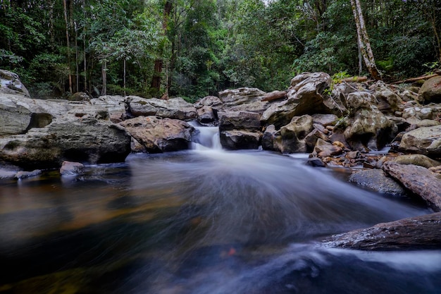Río que fluye a través del bosque