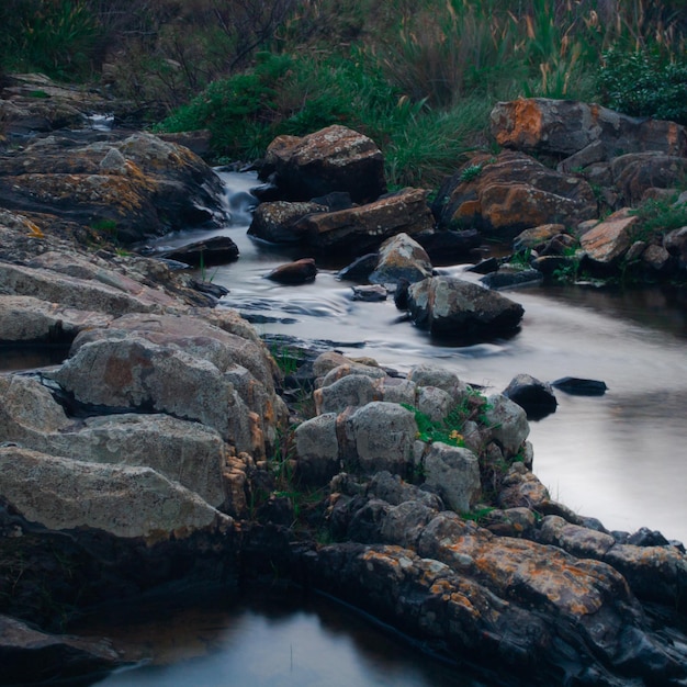 Río que fluye a través de las rocas en el bosque