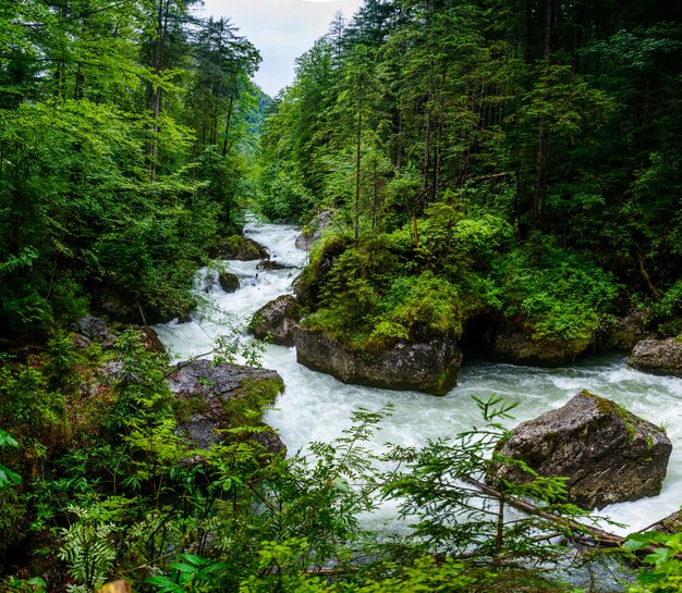 Río rápido en las montañas