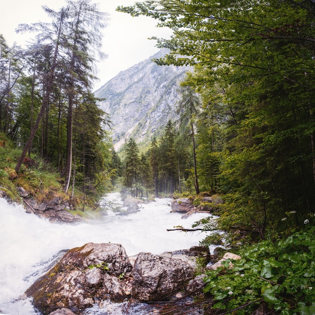 Río rápido en las montañas