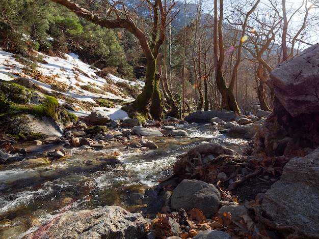 Rio rápido montanhoso com água limpa na floresta nas montanhas Dirfys na ilha de Evia