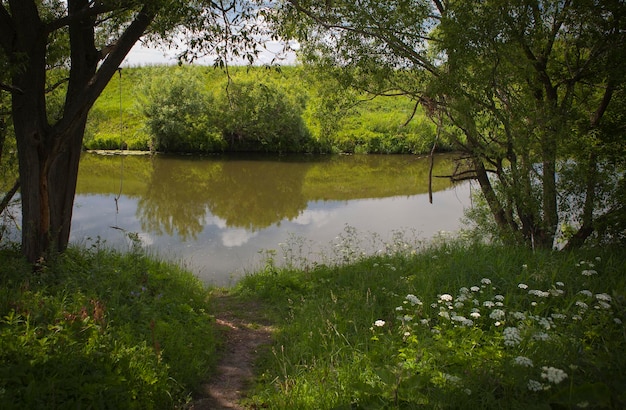 Un río con un reflejo del cielo Paisaje de verano del centro de Rusia