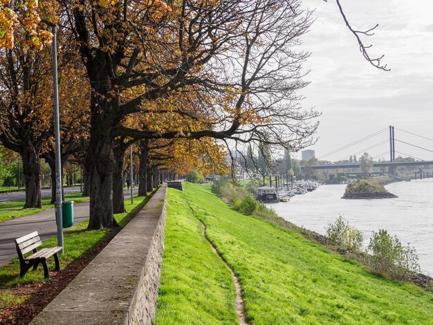 Foto el río rin