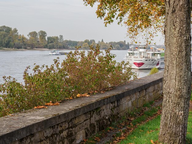 Foto el río rin