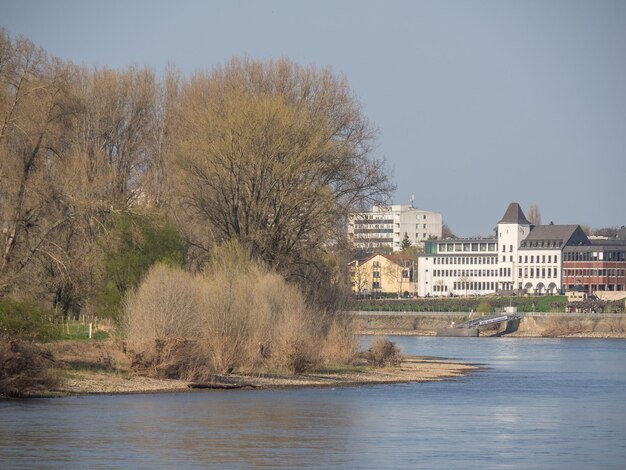 Foto el río rin