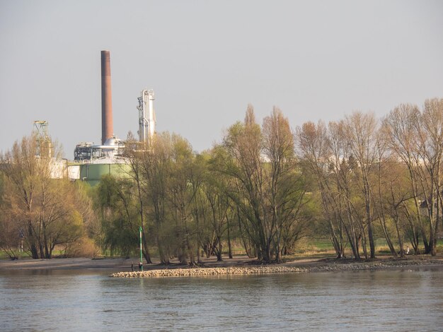 Foto el río rin