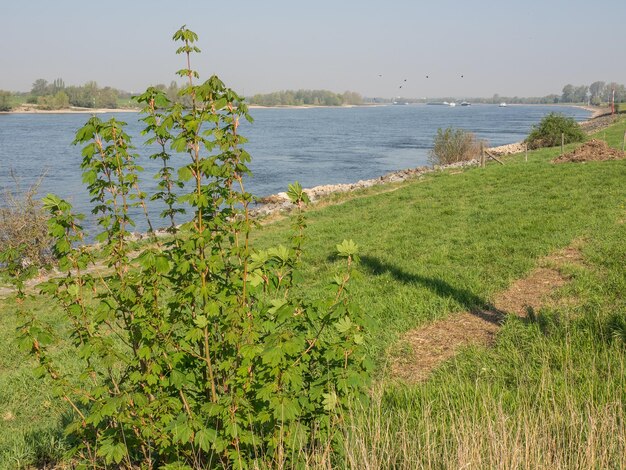 Foto el río rin