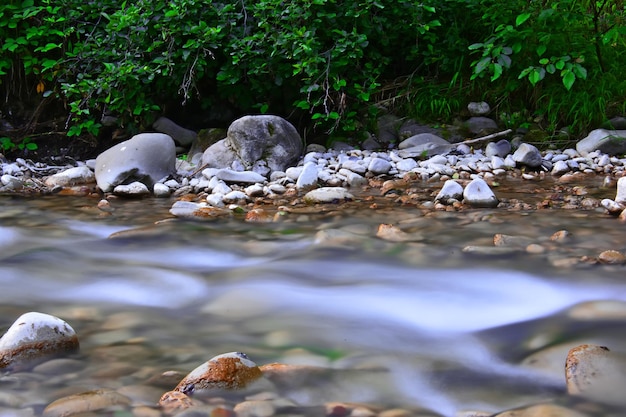 Un río con rocas y árboles al fondo.