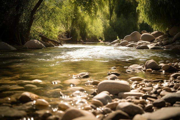 Un río con rocas y árboles al fondo.