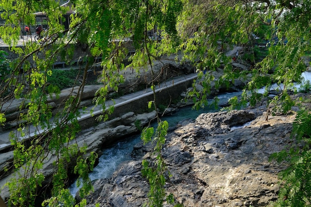 Un río con rocas y árboles en primer plano.
