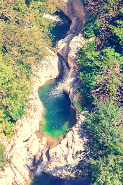 Río entre rocas y árboles verdes