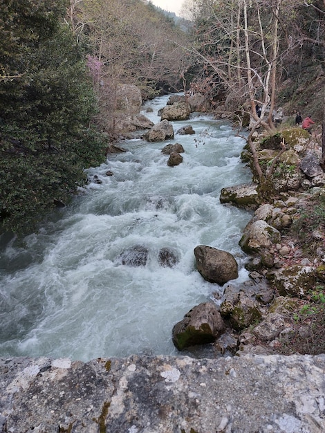 Un río con rocas y un cartel que dice 'río'