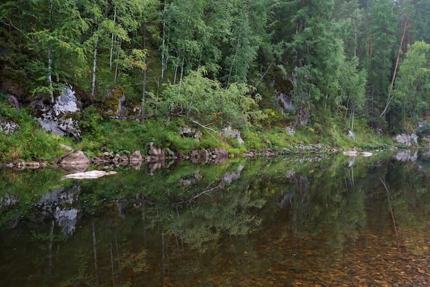 Río entre las rocas