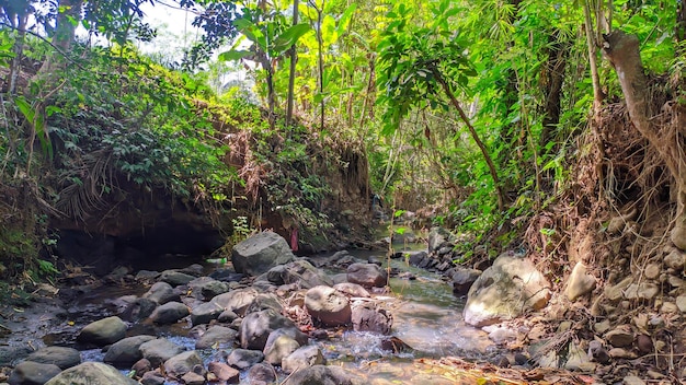 río con rocas