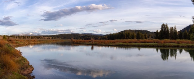 Río rodeado de árboles y montañas en el paisaje americano.