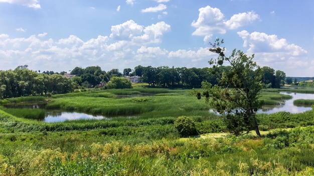 Río rodeado de césped y árboles verdes con cielo azul en un día de verano.