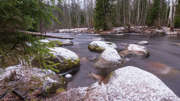 El río Roshchinka en el barco de Lindulovskaya Larch Grove en invierno.