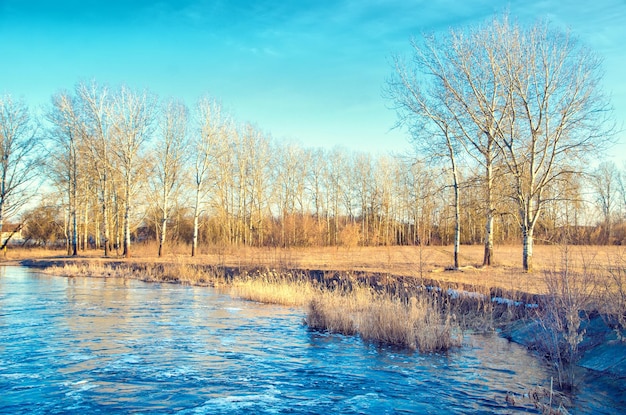 Río rural