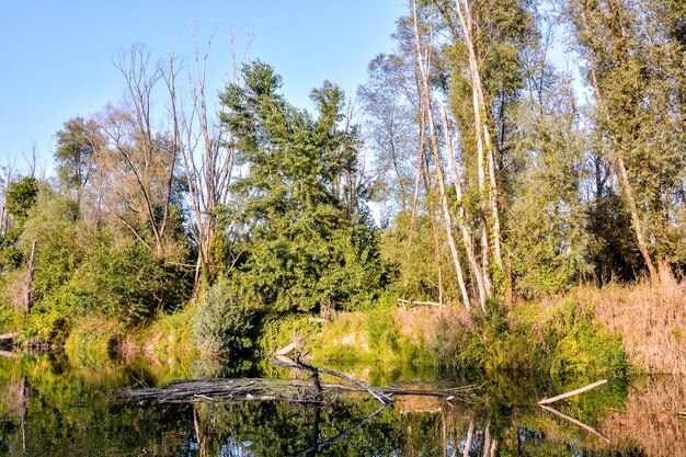 El río salvaje Brenta