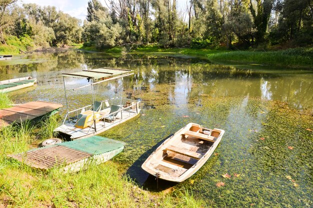 Foto el río salvaje brenta