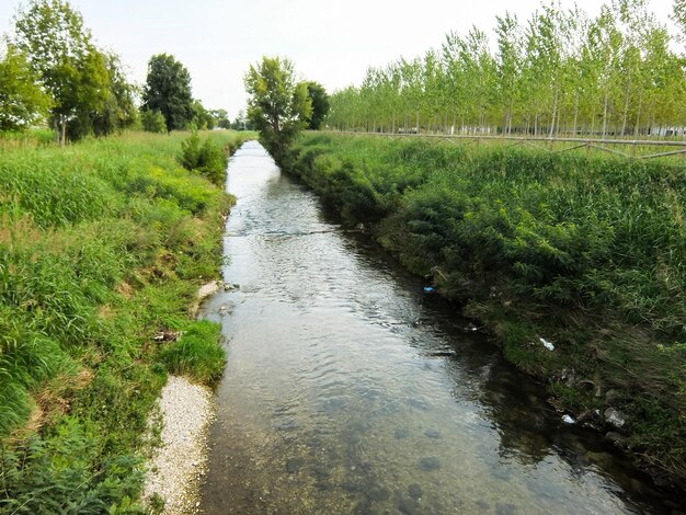 El río salvaje Brenta