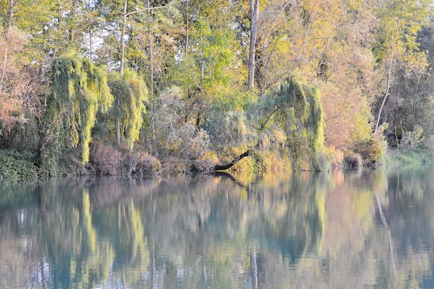 Foto el río salvaje brenta