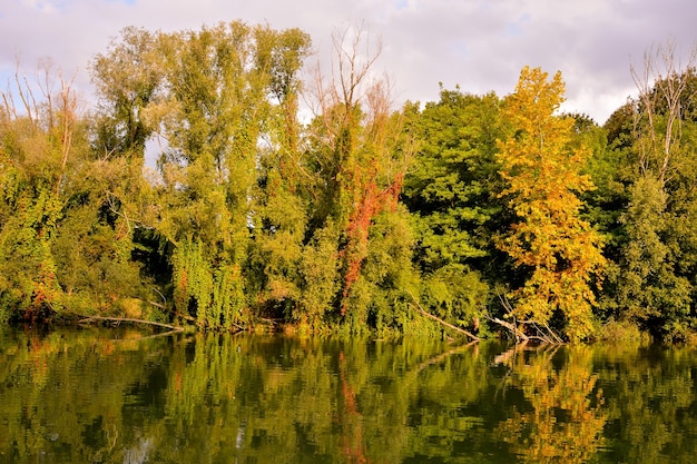 Foto el río salvaje brenta