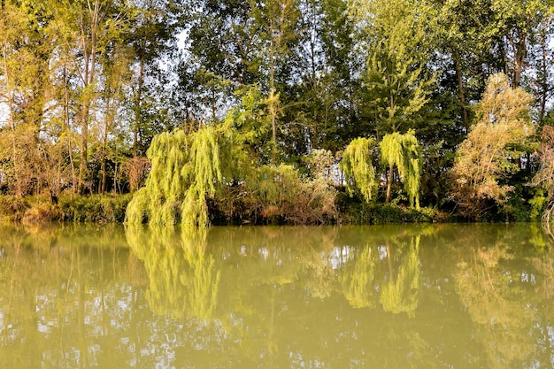 El río salvaje Brenta