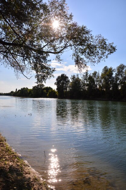 Foto el río salvaje brenta