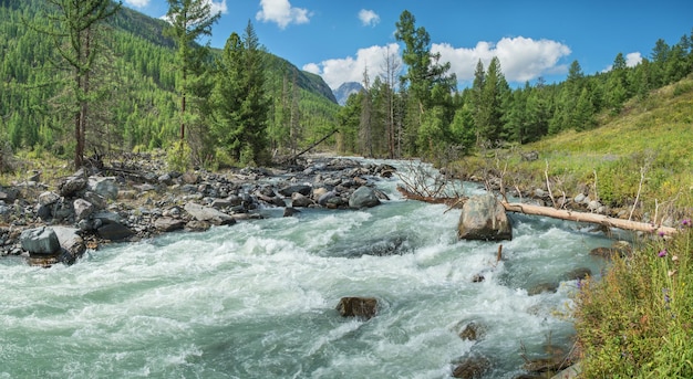 Río salvaje en las montañas de Siberia