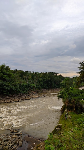 Un río en la selva con un cielo nublado