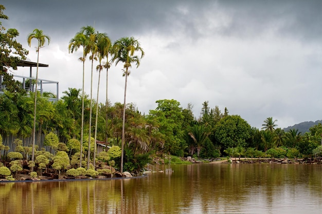 Río en la selva Tailandia