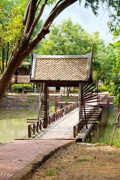 Río en la selva Tailandia