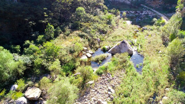 Rio selvagem com rochas na montanha Rio de montanha que flui através da paisagem verde da floresta