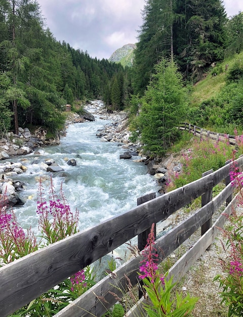 Rio selvagem na natureza alpina dos alpes austríacos