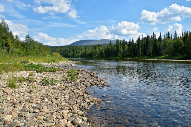 Rio Shchugor no Parque Nacional Yugyd VA