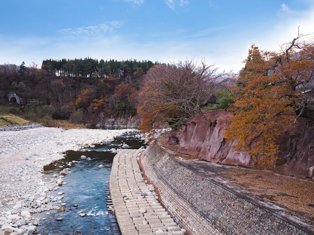 Río Shogawa en el pueblo japonés Shirakawa-go en otoño