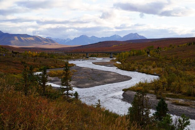 Río sinuoso en el campo del campo