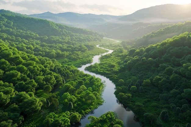 Un río sinuoso que fluye a través de un valle boscoso