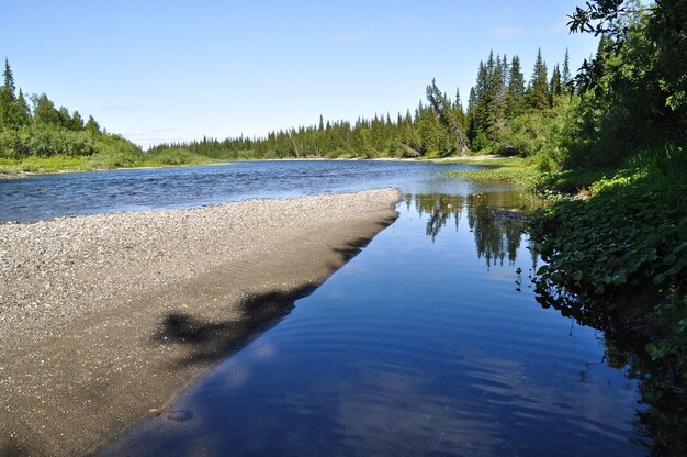 Rio taiga do norte em um dia ensolarado