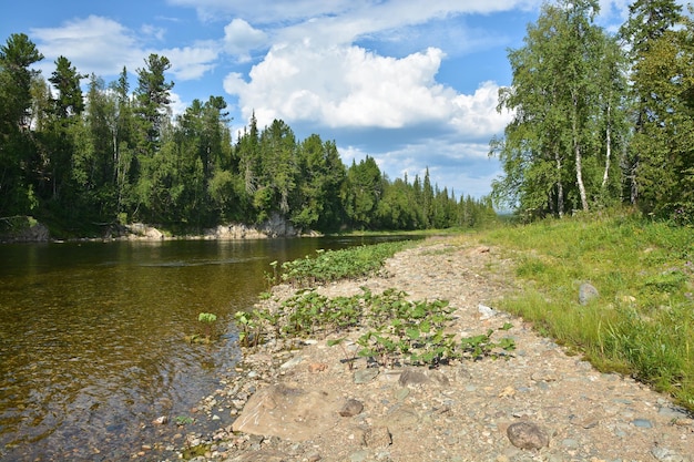 Rio Taiga nos Urais do Norte