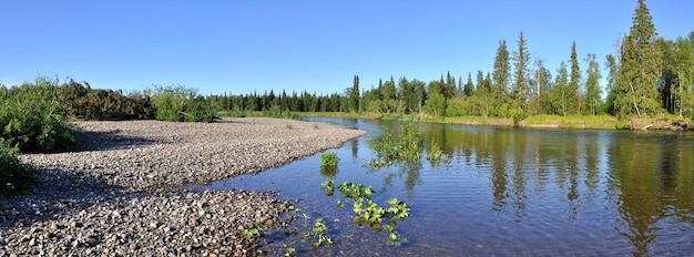 Río de la taiga de la orilla del guijarro del panorama