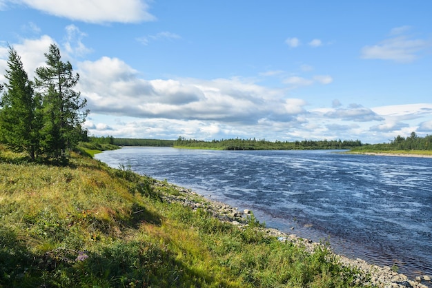 Río Taiga en verano en los Urales polares