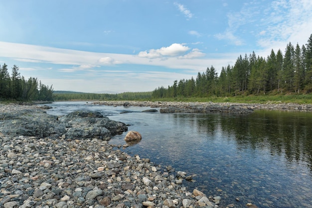 Rio Taiga