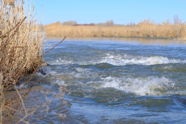 Rio tempestuoso fluxo de água contra o fundo de juncos