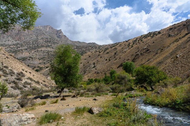 Un río tormentoso en las montañas de Tajikistán fan montañas