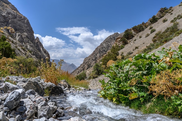 Foto un río tormentoso en las montañas de tayikistán