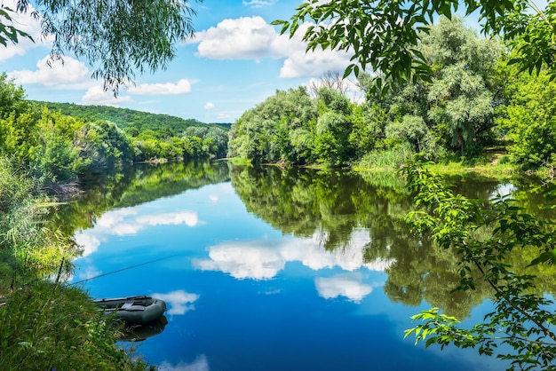 Río tranquilo en el bosque en el día de verano